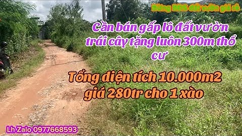 Cần bán gấp lô đất vườn trái cây giá rẻ tặng 300 thổ cư giá chỉ 280tr cho 1 xào còn bớt 