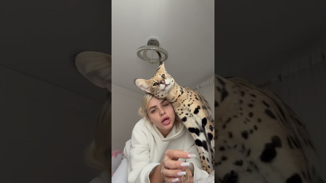 Самый ласковый 