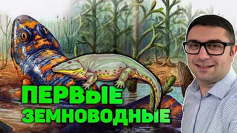 Как выглядели стегоцефалы? Чем питались ихтиостеги?