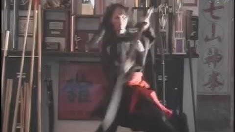 Pan Jia Kung Fu 潘家神拳 - 10+ Years Old Kwan Dao footage