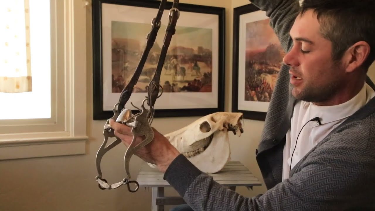 Совет: как выбрать уздечку для уздечки и различия в стиле