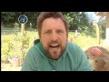 End of video