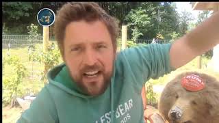 Its not a spinning ball! Owen Benjamin