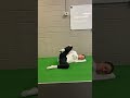 Side Lying CARS w/ Knee Hug