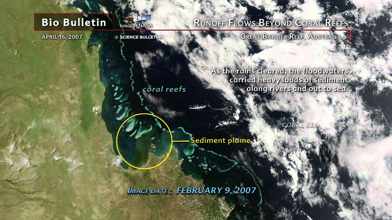Science Bulletins: Runoff Flows Beyond Coral Reefs