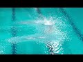 Women 3m - Eindhoven Diving Cup 2024