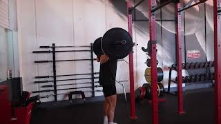 Barbell Back Squat