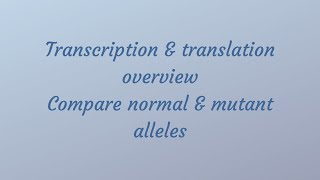 Transcription, translation and compare normal and mutant alleles