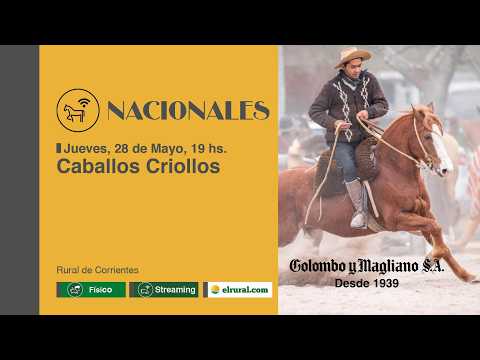 2026.05.28 Caballos Criollos