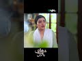 Mohabbat Peta Chal Jati Hai #shorts #nawalsaeed #shortsfeed #trending #viral #fyp #foryou