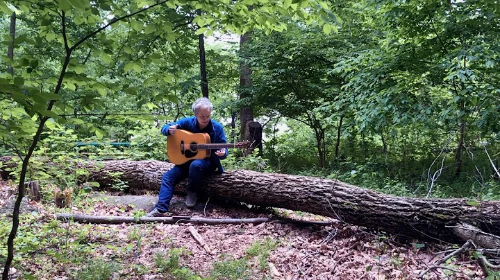 Bluebird (cover)
