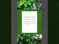 Atomic Habits by James Clear | Quick Book Summary #5 #Shorts