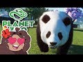 Beginning with AN ESCAPED PANDA?! 🐼 Daily Planet Zoo! • Day 1