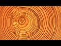 Dendrochronology Concepts and Applications