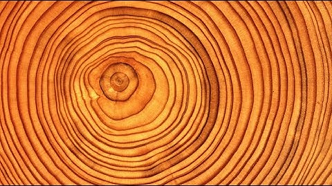 Introduction to Dendrochronology