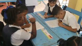 Miss Nalini Bani Practicum 1 Micro Teaching Cycle 1.