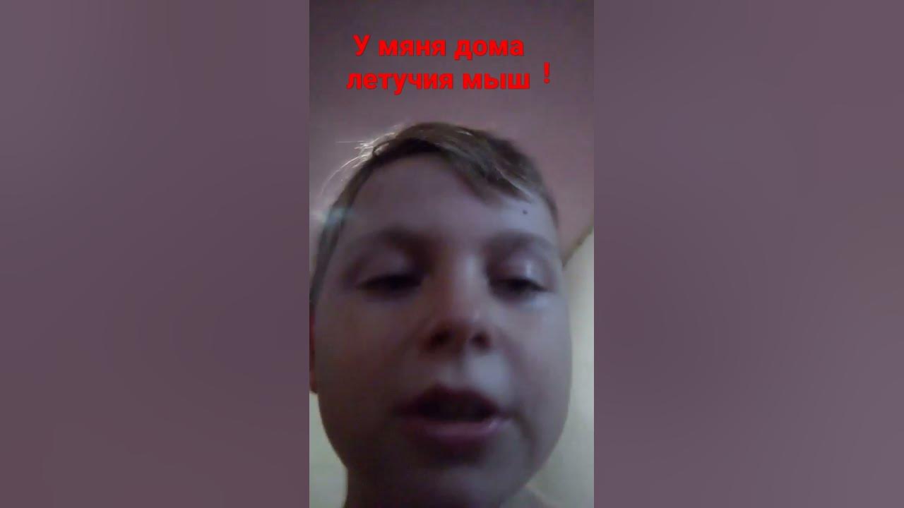 Дома летучия мыш - YouTube