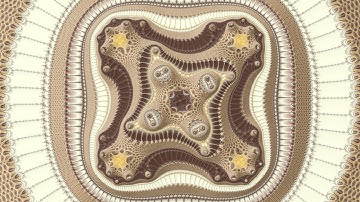 Deep Mandelbrot fractal zoom #056 Magnification = 1.14E186