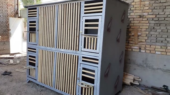 Qora biseksual sikiklar cuckold