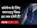 Coronavirus India Update : Corona Virus फैलने के लिए चमगादड़ों को दोष देना कितना सही? (BBC Hindi)