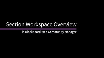 Section Workspace Overview in Blackboard Web Community Manager