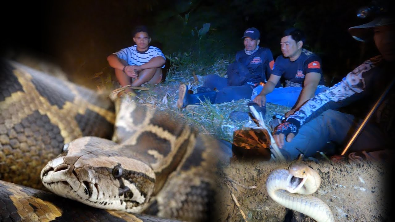 BINALIKAN NAMIN ANG DAMBUHALANG SAWA NA SI BUBBLES | NAKAGAT PA AKO NG AHAS