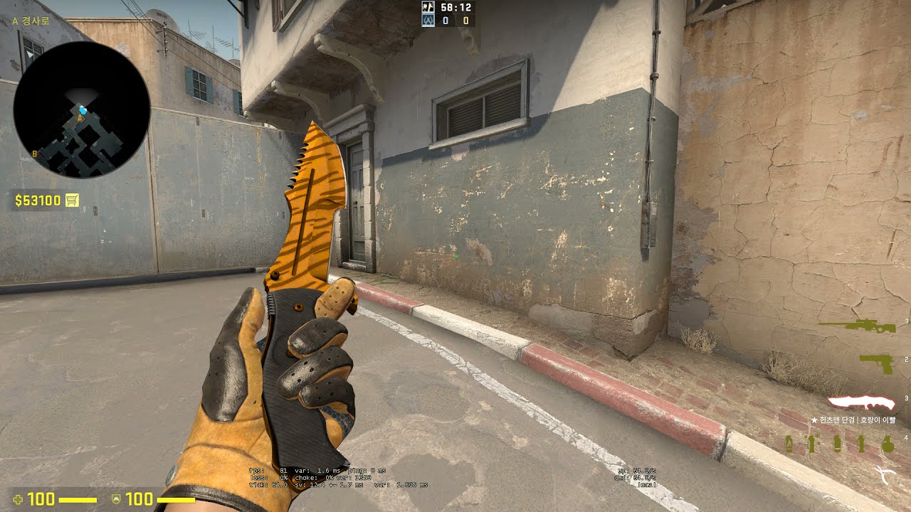 CSGO Item Huntsman Knife Tiger Tooth Motion Animation with Driver