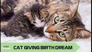 Dream of cat giving birth meaning: Nurturing caregiver to self-reliant individuals