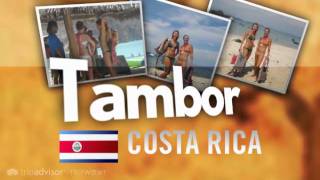 tripwow_ta-0130-c560-0195.mp4