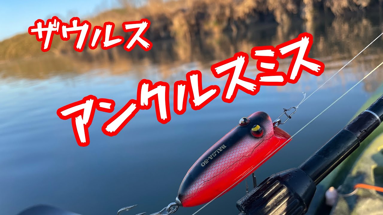 トップウォーター#カヤックフィッシング #バス釣り #ザウルス #鬼怒川