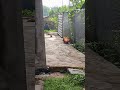 Đố các bạn câu hỏi siêu dễ Đây là loại chim gì