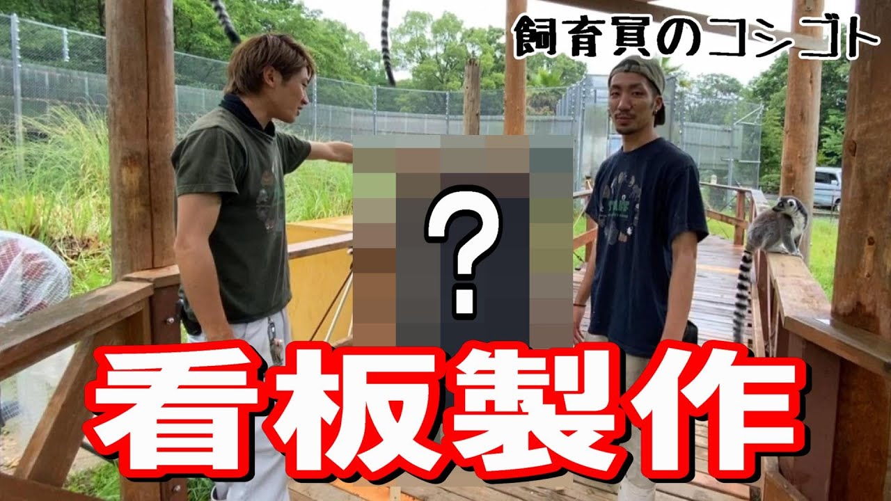 看板作りも飼育員の仕事です【飼育員のコシゴト】