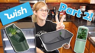 Reviewing Reptile Products from Wish! (Part 2)