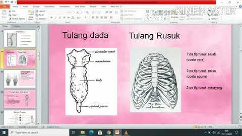 Pengembangan Media E-learning Berbasis LMS Moodle dalam Pembelajaran Sistem Gerak