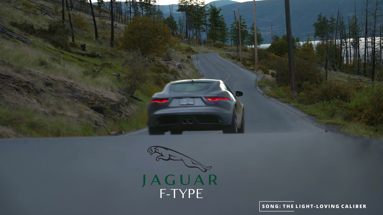 Jaguar Editing Contest