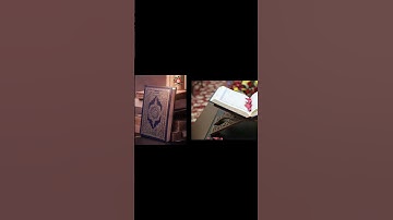 #ياسر_الدوسري #قرآن #سورة_المؤمنون #قرآن_الصباح #قران_كريم