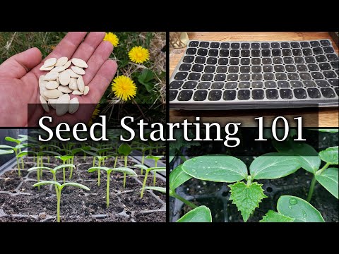 How To Start Vegetable Seeds - The Definitive Guide For