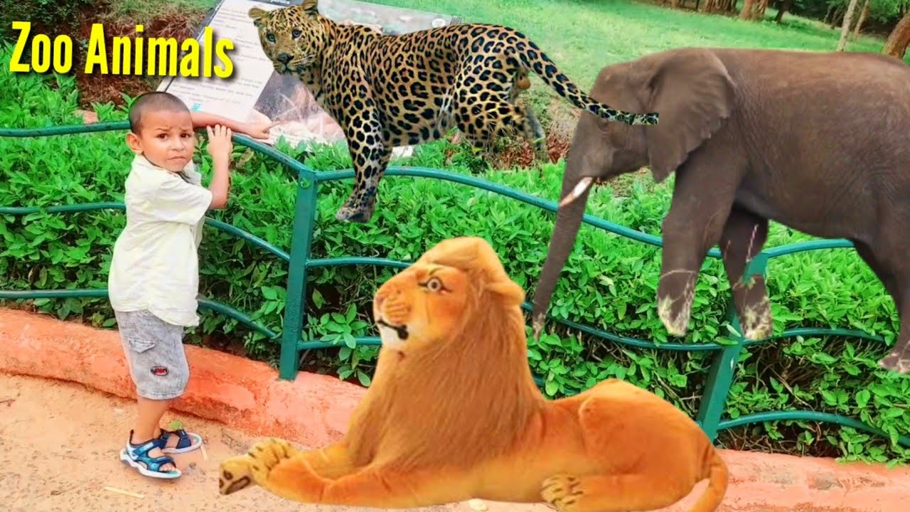 Learn Zoo Animals For Kids Vizag Zoo Park Kidsworld Learning Videos learn-zoo-animals-for-kids-vizag-zoo-park-kidsworld-learning-videos
