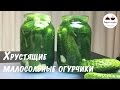 Малосольные Огурцы Хрустящие Самый простой и быстрый рецепт малосольных огурчиков  Salted cucumb