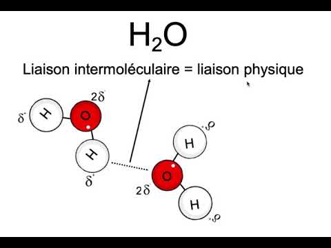 Vidéo: Différence Entre La Liaison Hydrogène Intermoléculaire Et Intramoléculaire