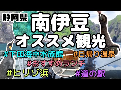 【南伊豆オススメ観光をご紹介🐟️】定番の水族館🐧船でしか行けない秘密の浜でシュノーケリング🤿最後はやっぱり温泉♨️