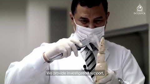 Video CSM1 1 2   INTERPOL   720P