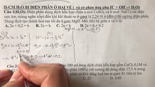 ID010719401
