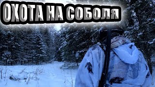 В лес на снегоходе тайга варяг 550 ОХОТА НА СОБОЛЯ