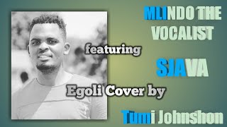Egoli- Mlindo the Vocalist (Cover)