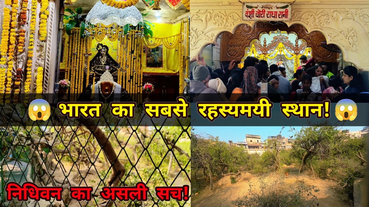 निधिवन 😱 की सच्चाई / भारत का सबसे रहस्यमयी स्थान / निधिवन अनसुना सच 🤔 