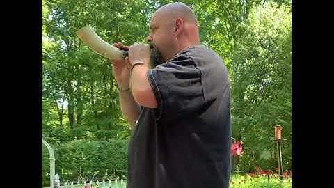 Thumbnail of Horn, shofar, hunting horn