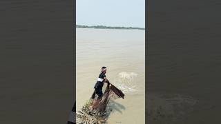 Catching Big Fish with Cast Net | Amazing Traditional Fishing#amazing #fishing #villagelife #viral