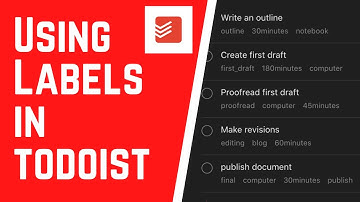 HOW TO USE LABELS IN TODOIST | A Step-by-step Guide to Mastering Labels in Todoist