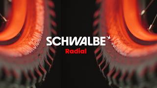 The new standard for mountain bike tires? Schwalbe Radial put to the test.